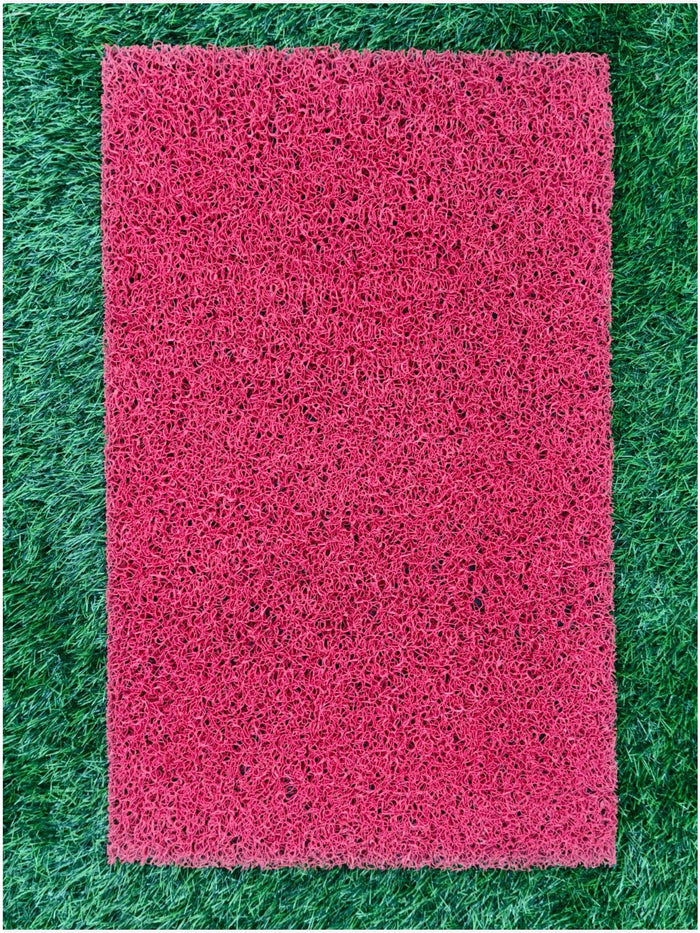 DM41: Cushion Doormat (16 x 24 in)