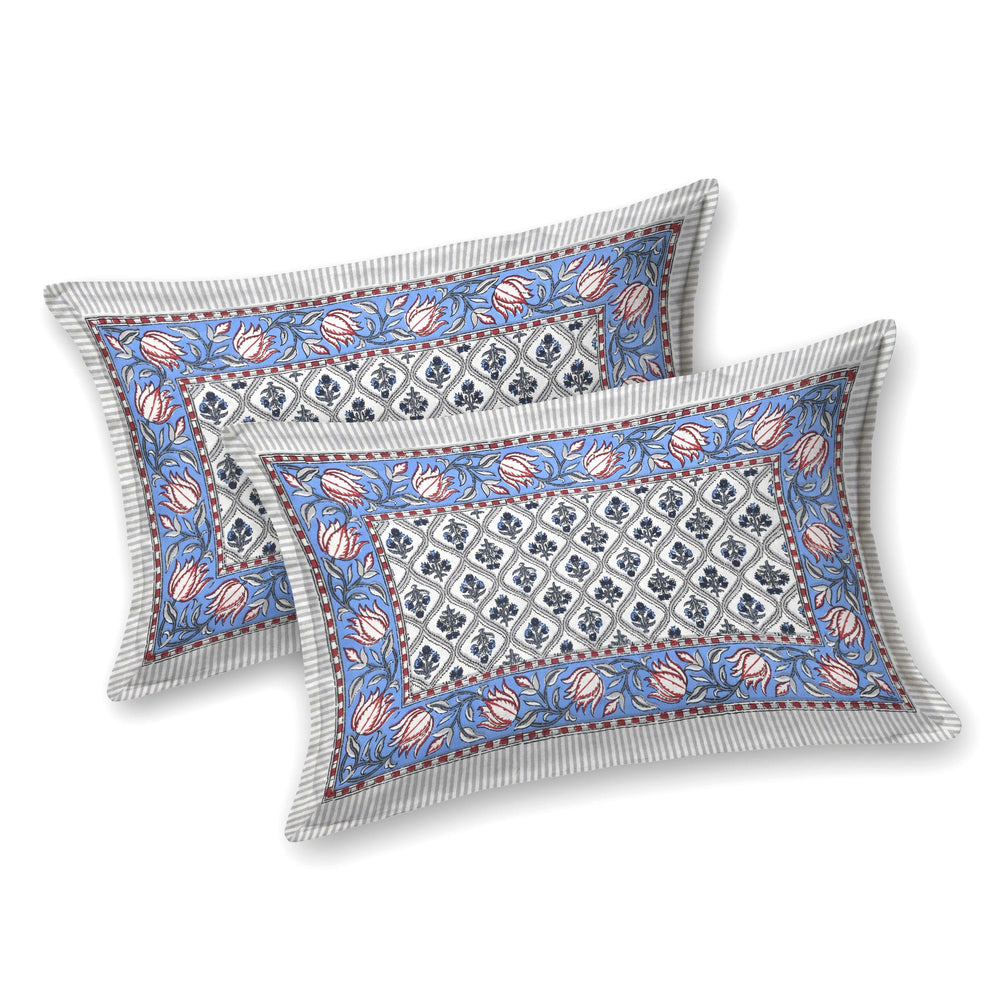 Tista 310 TC Cotton Bed Sheet with 2 Pillow Covers - Printed - Clover Home Furnishings