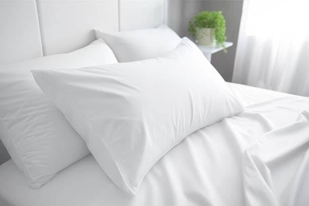 Pillows & Cushions