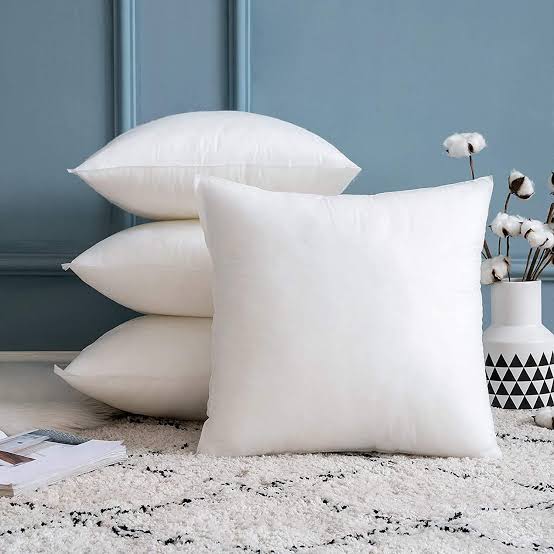 Pillows & Cushions