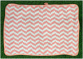 TL101: Micro Fiber Hand Towel