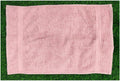 TL93: Tulip Hand Towel