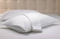 Hotel Pillow Cover